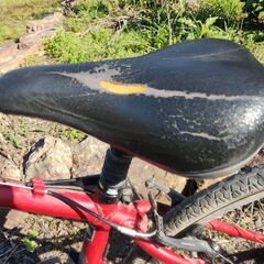 Gary Fisher Zebrand　クロスバイク　ゲイリーフィッシャー　Sの画像