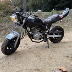 エイプ　カスタム　原付　スクーター　バイク　車体　配達可能　の画像