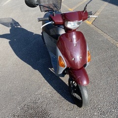 バイク４台の画像