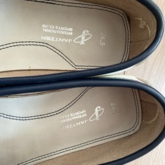 24.5センチの画像