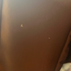 axes femme バッグの画像