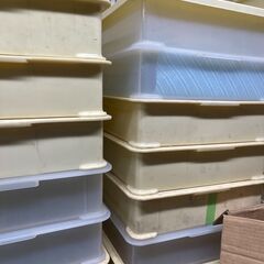 【早い者勝ちです】番重10枚　ばんじゅう　食品用コンテナ 　サイズは3種類あります　【引き取り限定】の画像