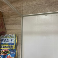 金魚　水槽の画像