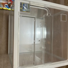 金魚　水槽の画像