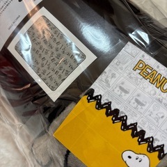 12月10日までの価格です！スヌーピー ビッグブランケットの画像