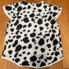 スリーパー95の画像