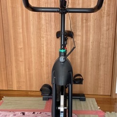 DMASUN エアロバイク の画像