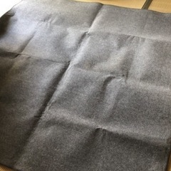 さらに値下げました。二枚ホットカーペット　2畳　2枚