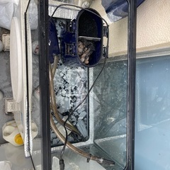 (決まりました)60cm水槽と外部フィルターの画像