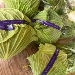 白菜、ほうれん草、キャベツ100円の画像
