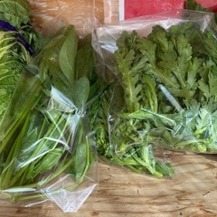 白菜、ほうれん草、キャベツ100円の画像