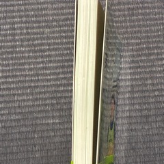 拓土くん家の英語メソッドの画像