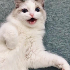 11/29(土) 12~20時 カラオケオフ会 柏駅