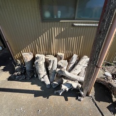 【引き取り頂ければ無料！】樹木の幹　薪　薪などに如何でしょうか？の画像