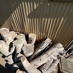 【引き取り頂ければ無料！】樹木の幹　薪　薪などに如何でしょうか？の画像