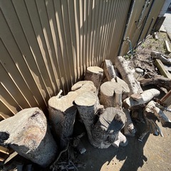 【引き取り頂ければ無料！】樹木の幹　薪　薪などに如何でしょうか？の画像