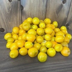 ラスト‼️ キンカン？　89個の画像