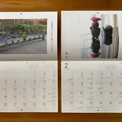 2026草もの盆栽カレンダーの画像