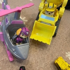 わけあり欠品多しパウパトメインの画像