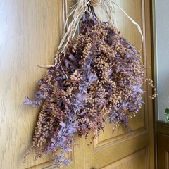 ドライフラワーミモザの画像