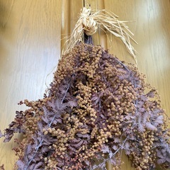 ドライフラワーミモザの画像