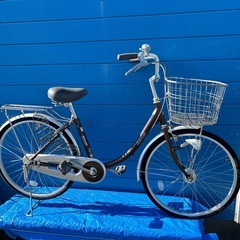 MARUISHI cherish 24インチオートライトの画像