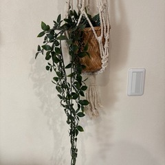 IKEA  吊るし植物　フェイク植物の画像