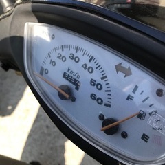 ライブDIOの画像