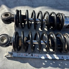 ノーティダックス　ショックの画像