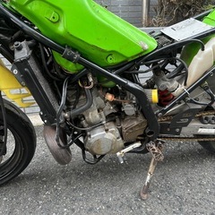 カワサキ　KDX250SR 改　お話中
の画像