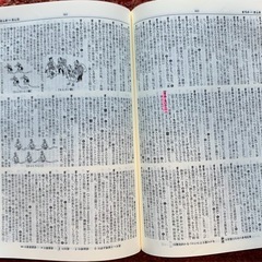 中高生辞書ご確認用の画像