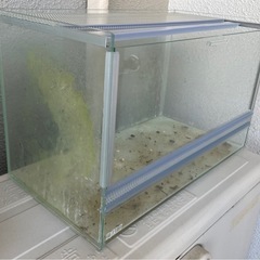 GEX EXO TERRA　レプテリア クリアネオ 400Slim 爬虫類ケージの画像