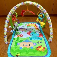 Fisher-Priceレインフォレスト 指遊びミュージカルジムの画像