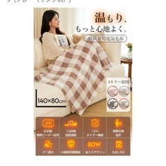 電気毛布の画像