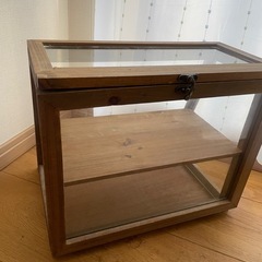 Salyuのガラスケースの画像