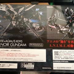 ストライクノワールの画像