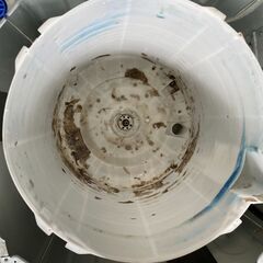 洗濯機の分解クリーニング行っています！配送設置込み　2019年製　ハイアール5.5K　洗濯機分解クリーニング済み！！の画像