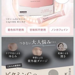 生ビタミンC   サプリメントの画像