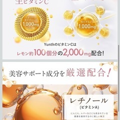 生ビタミンC   サプリメントの画像