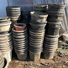植木鉢　　たくさんあります！の画像
