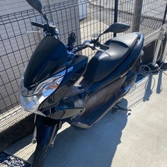 値下げしました！　PCX 125 タイ仕様　自賠責R8年12月の画像