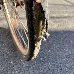 ノーパンクタイヤ　自転車の画像