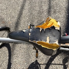 ノーパンクタイヤ　自転車の画像