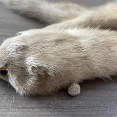 毛皮のマフラーの画像