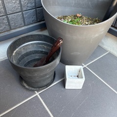 プランター　植木鉢　いろいろセット　大型　ガーデニング　観葉植物の画像