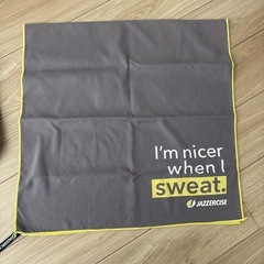 カバンと敷タオルの画像