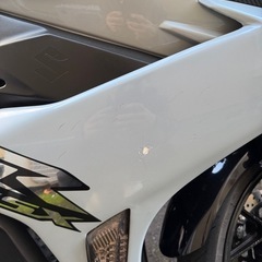 GSX250R の画像