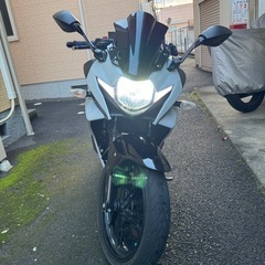 GSX250R の画像