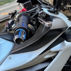 GSX250R の画像