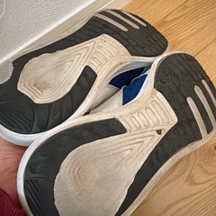 Champion チャンピオン　紐なしスニーカー　スリッポン　27.5cmの画像